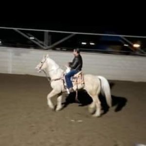 Meet your Posher, Armando